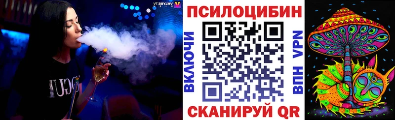 Галлюциногенные грибы мицелий  дарнет шоп  Елизово 