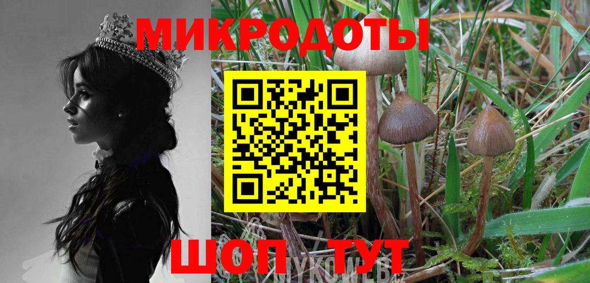 Галлюциногенные грибы Cubensis Елизово