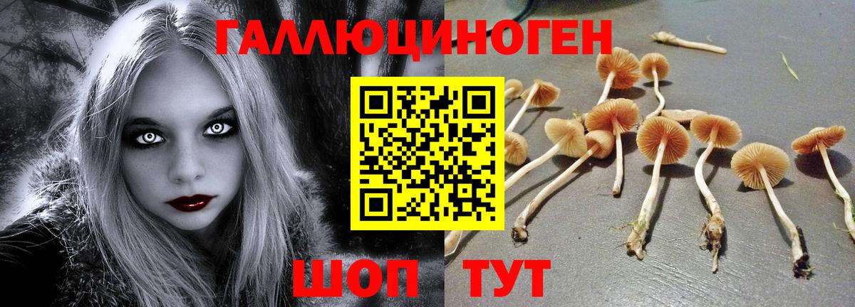 Галлюциногенные грибы MAGIC MUSHROOMS  Вход с VPN  Елизово 